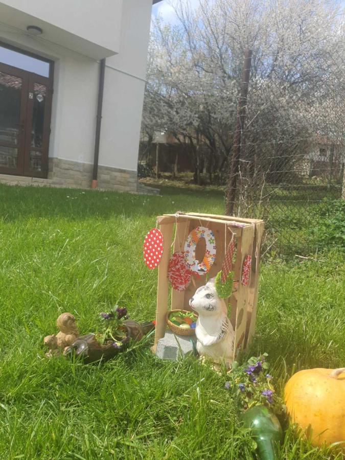 Бадевски Рай- Къща София Veliko Tărnovo Exteriör bild